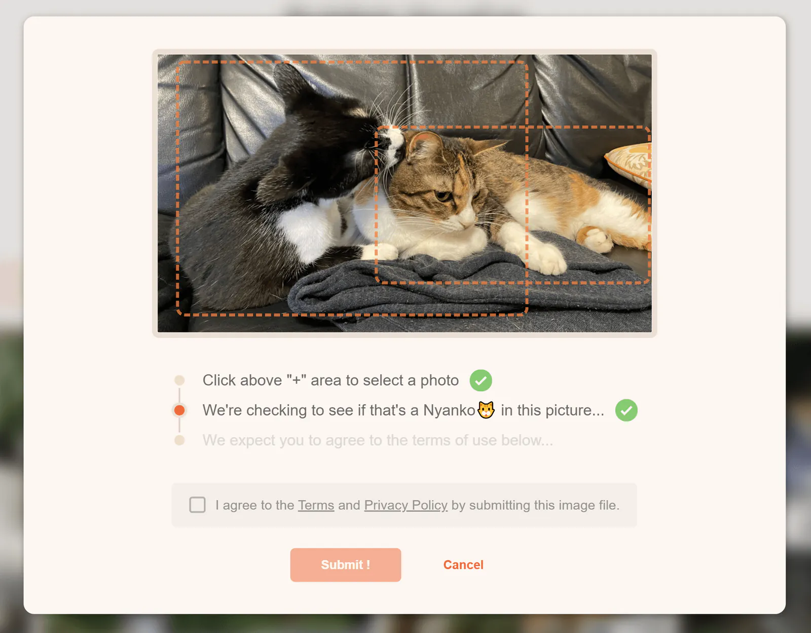 yourcat-screenshot-4