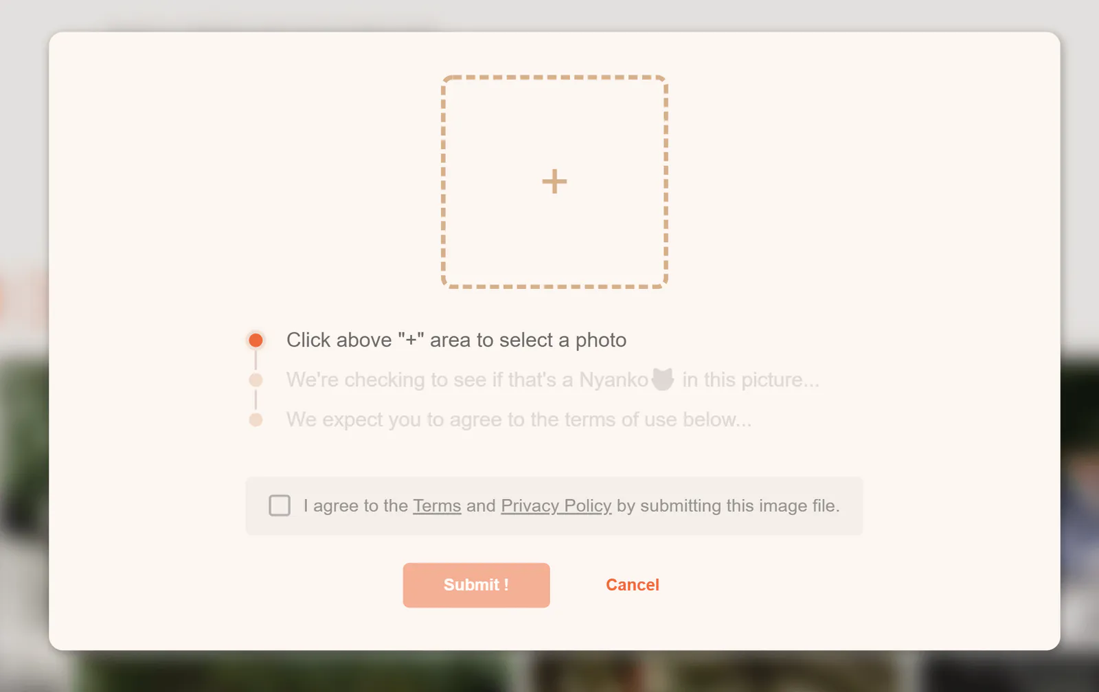 yourcat-screenshot-3