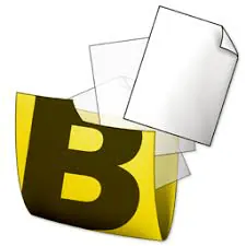 bunbackup-main-icon