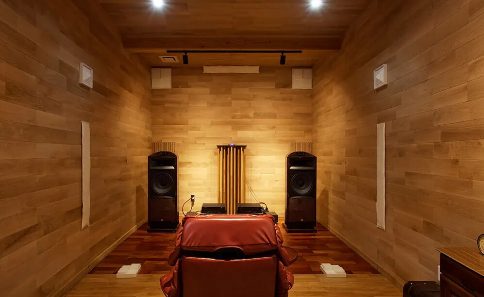 audio-fanction