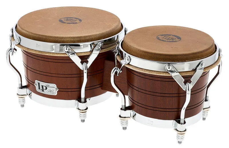 bongo
