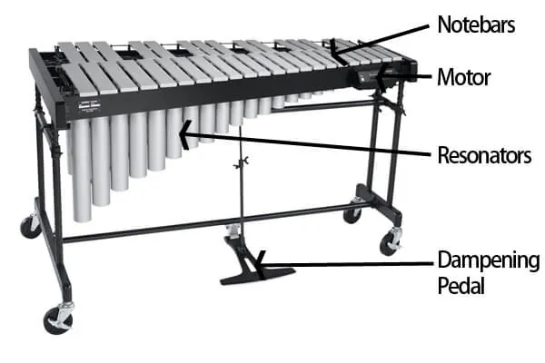 vibe-pedal-motor