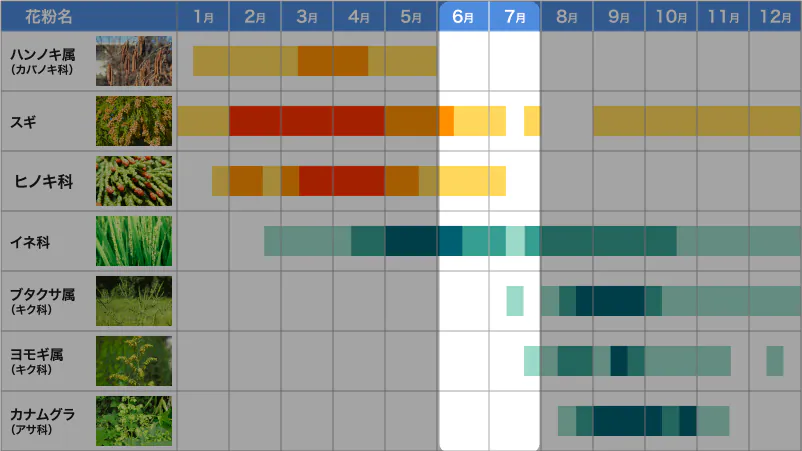 hay-fever-timing-chart