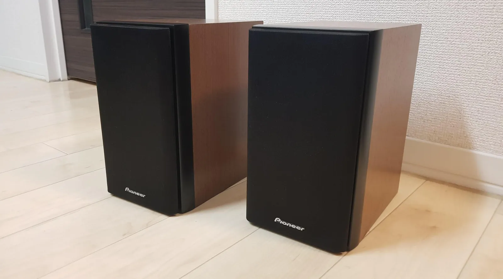 pioneer-s-cn301-lr