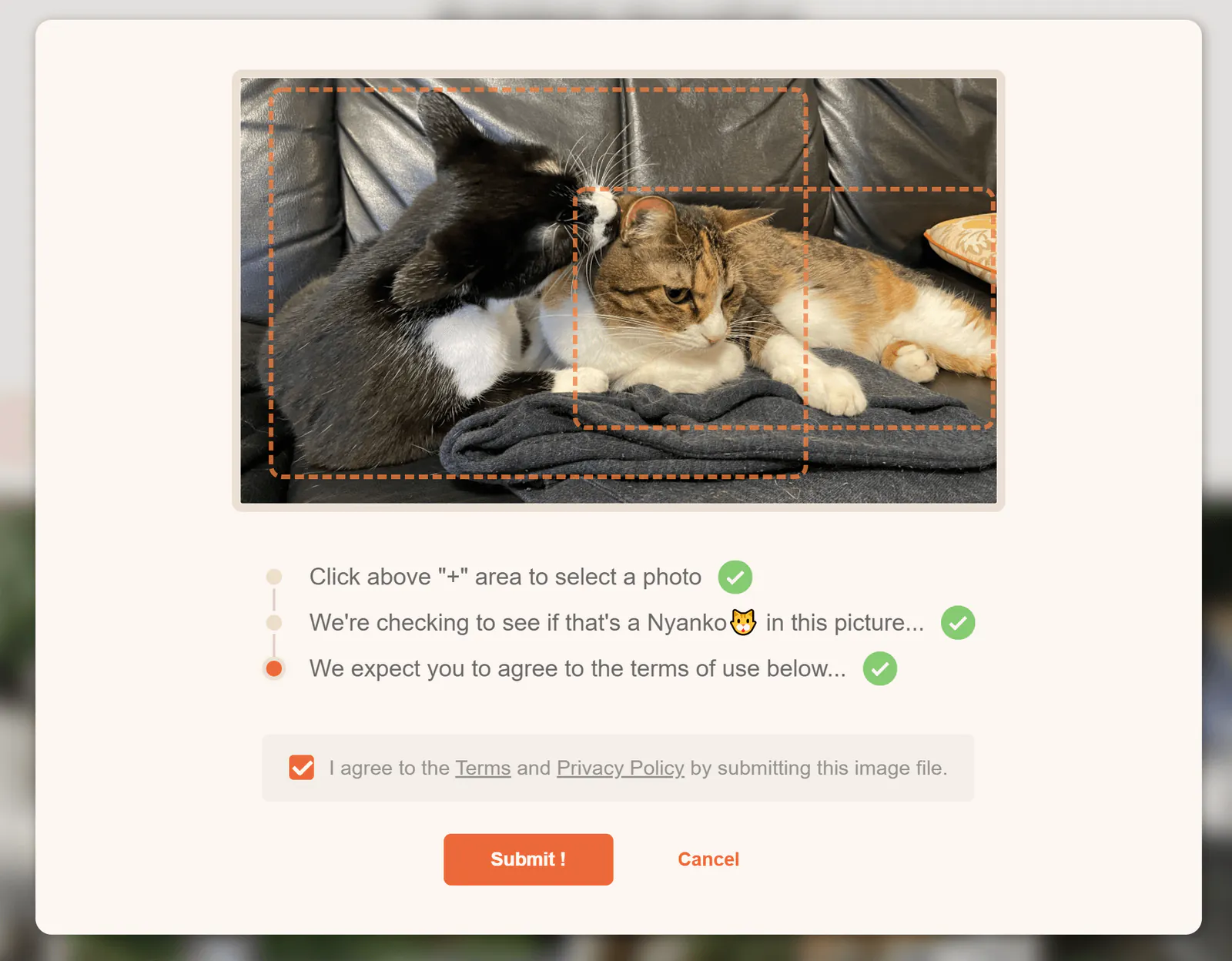 yourcat-screenshot-5